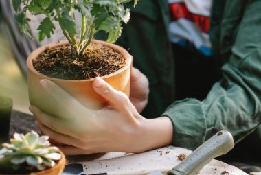 eco friendly gardening tools
